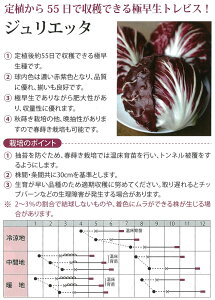 y^XzgrX@WGb^kێ0050l/R[g܁k30l