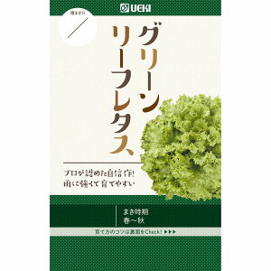 y^XzxCt@[ O[[t^X k0403l / (R[g50)