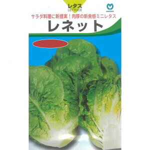 y^Xzlbgkێl/R[܁i40j