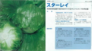 y^XzX^[Ck^LC琬lso^i햼F^tbNEo^ԍF14909t/ybg