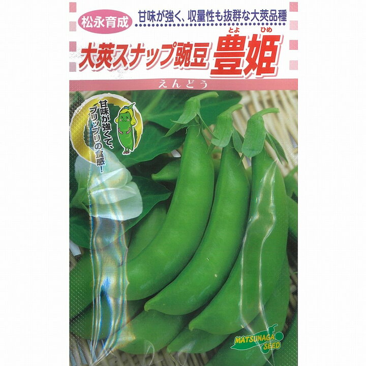 実取エンドウの種 あま実ちゃん 小袋 野菜の種 マーケット スナップエンドウ 種 たね サラダスナップ豌豆 1袋(30ml) えんどう豆 豌豆 野菜たね YTC75
