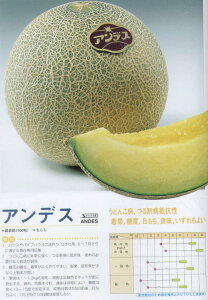 �y�������z�A���f�X�k�T�J�^��z�l/100��