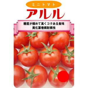 y~jg}gzAkz0544AOAlso^i햼FARURUE_ȕio^29066t/100