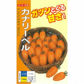 【ミニトマト】黄　カナリーベル〔ナント交配〕/小袋（20粒）