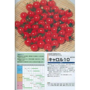 �y�~�j�g�}�g�z�L������10�k�T�J�^��z�l/PRIMAX��q1�痱