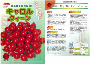 y~jg}gzLNB[kTJ^zl/1000