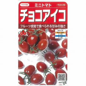 【ミニトマト】チョコアイコ〔サカタ交配〕/小袋（13粒）