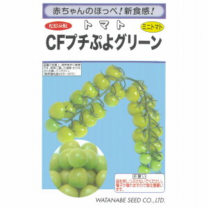 �y�~�j�g�}�g�zCF �v�`�Ղ�O���[���k������z�l/���܁i7���j