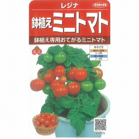 楽天市場 ミニトマト レジナの通販