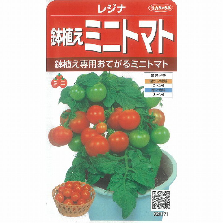 楽天市場 ミニトマト 鉢物用レジナ サカタ 小袋 野菜のタネのお買い物 太田のタネ