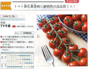 y~jg}gzTYʁk^LCzlio^i햼FTTM106j/1痱