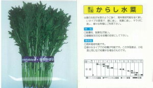 y~Yiz炵؁kOzl/ i3.0mlj