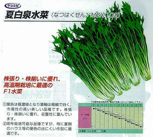y~YizĔ򐅍؁kFzl/܁i4.5mlj