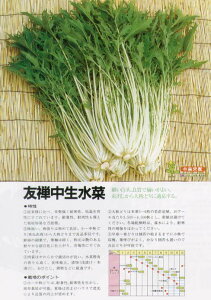 y~Yizɍ׌n@FT؁kьzl/܁i4.0mlj