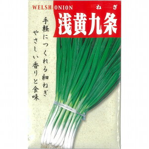 �y�l�M�z�t�l�M�@�󉩌n���K�k�Œ��0061�l/���܁i13.0ml�j