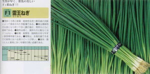 �y�l�M�z�����k������z�l/20ml