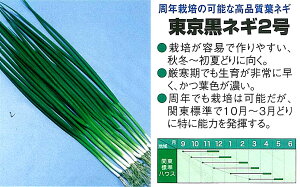 ylMztlM@lM2kB݂ǁl/2dl