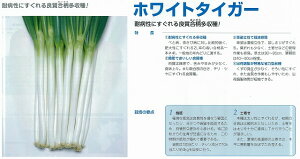 ylMzzCg^CK[k^LCzl/܁i8.0mlj