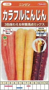 yjWzJtɂ񂶂@jWkzTJ^0062l/