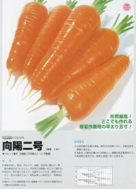 【ニンジン】向陽二号〔タキイ交配〕/ペレット200粒