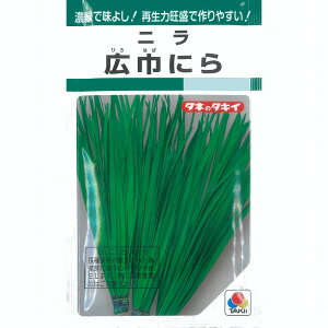 yjzLЂɂkŒl/܁i13.0mlj