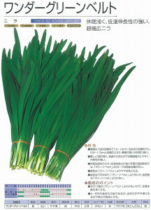 yjz_[O[xgkcl/܁i5mlj