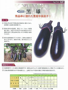 �y�i�X�z���Y�k�F����z�l2026�N�i�؂�/����