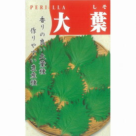 【その他の菜類】青しそ（大葉）〔固定種〕/小袋（5ml）