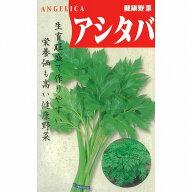 【その他の菜類】あしたば（アシタバ）〔固定種0043〕/小袋 （3.0ml）