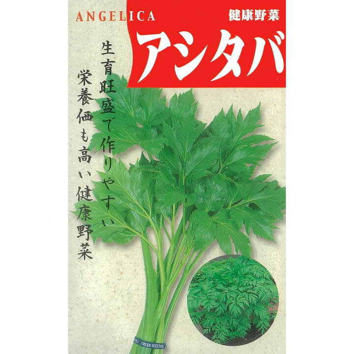 楽天市場 その他の菜類 あしたば 固定種 小袋 野菜のタネのお買い物 太田のタネ