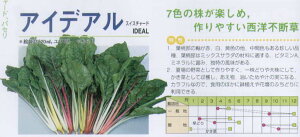 y̑̍ؗށzXCX`[h ACfAkTJ^l/ i3mlj