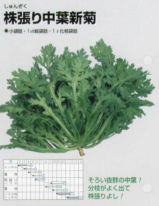 yVMNz蒆ttei֐njkŒ0047l/܁i25mlj