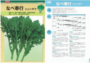 yVMNzȂוskŒ0055inӍ̎jl/܁i29mlj