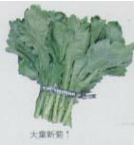 yVMNzttekŒl/܁i27mlj