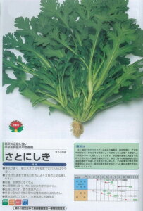 yVMNzƂɂkTJ^ǁl/܁i30mlj