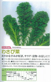 楽天市場 種 わさび菜の通販