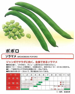 y\}zT_瓤@||kcl/܁i13j