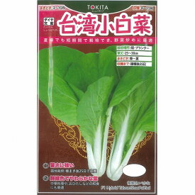 【その他の葉もの】台湾小白菜〔ダイヤ交配〕/小袋（約10.0ml）