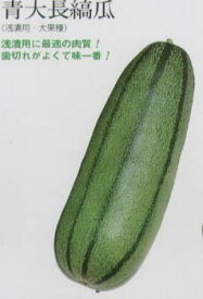 楽天市場 縞瓜 花 ガーデン Diy の通販 楽天市場 縞瓜 花 ガーデン Diy の通販