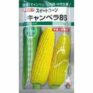 �y�g�E�����R�V�z�L�����x��86�k����z0061�^�L�C�l/���܁i70���j