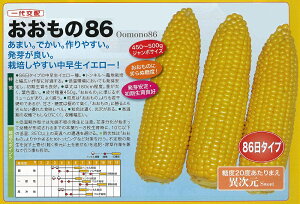 �y�g�E�����R�V�z��������86�k����z�@�i���g�l/2�痱