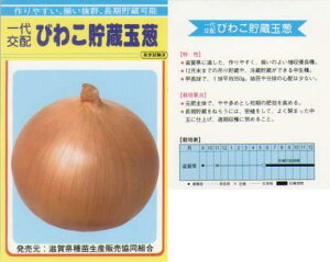 �y�^�}�l�M�z�т킱�����k�����z�l/����