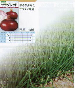 �y�^�}�l�M�z�T���_���b�h�k��ʎ� 0045�l/���܁i2.5ml�j