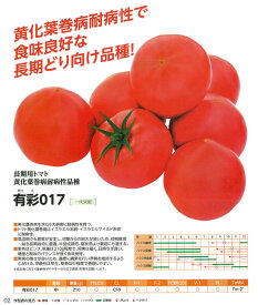 【トマト】有彩017（AMS-017）〔朝日アグリア〕/100粒