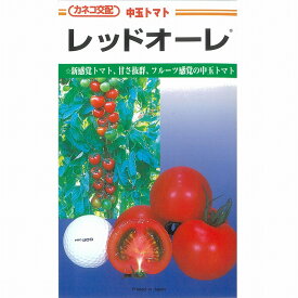 【トマト】レッドオーレ〔カネコ交配〕/小袋（13粒）