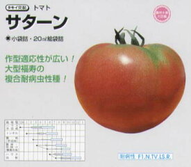 【トマト】サターン〔タキイ交配〕/小袋