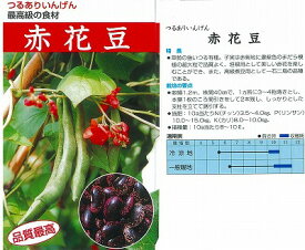 【雑豆】赤花花豆〔固定種〕/小袋