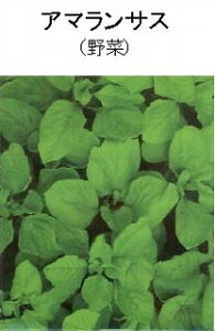 �y���E�̗t�؁z�A�}�����T�X�i��؁j/���܁i3ml�j