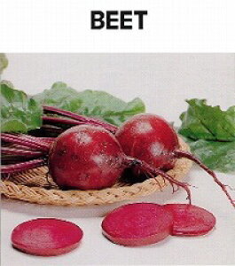 種 ビーツの人気商品 通販 価格比較 価格 Com