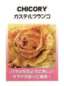 �y���E�̒�������؁z�`�R���[ �J�X�e���t�����R/����